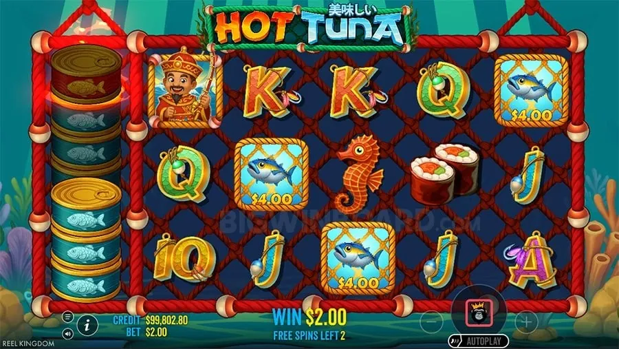 winph Live Casino on Mobile